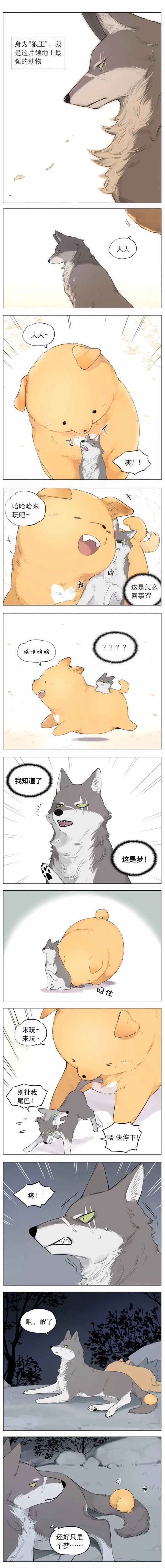 奇怪的CP又增加了