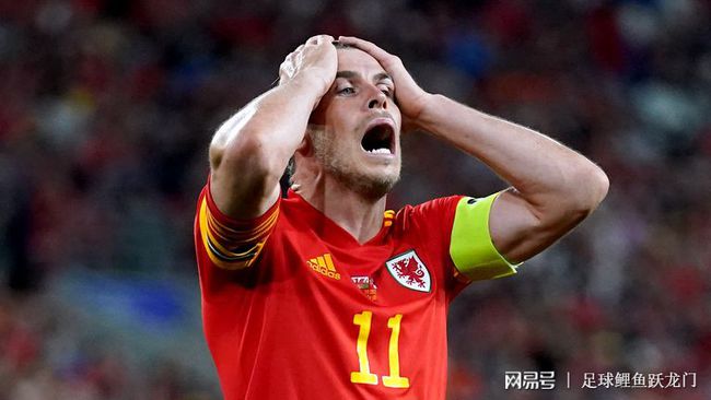 威尔士主场击败爱沙尼亚,积分上岸出线有望的简单介绍 威尔士主场击败爱沙尼亚,积分上岸出线有望的简单介绍