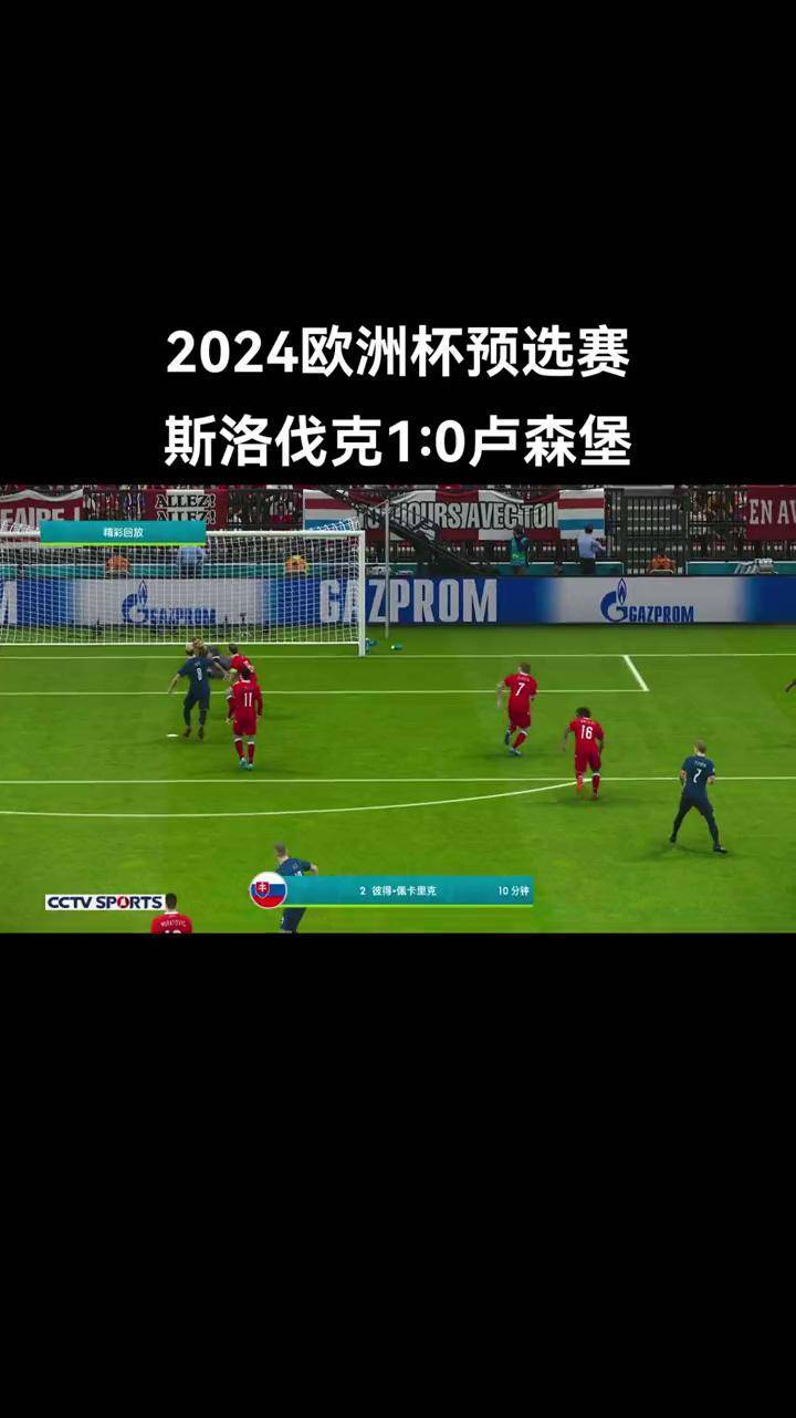 关于斯洛伐克队惊险淘汰法国晋级欧洲国家杯四强的信息