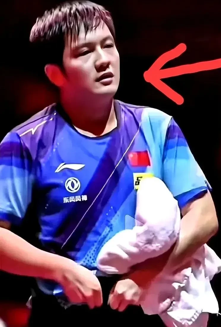 波兰乒乓球队血洗韩国乒乓球队,许昕统治全场 波兰乒乓球队血洗韩国乒乓球队,许昕统治全场