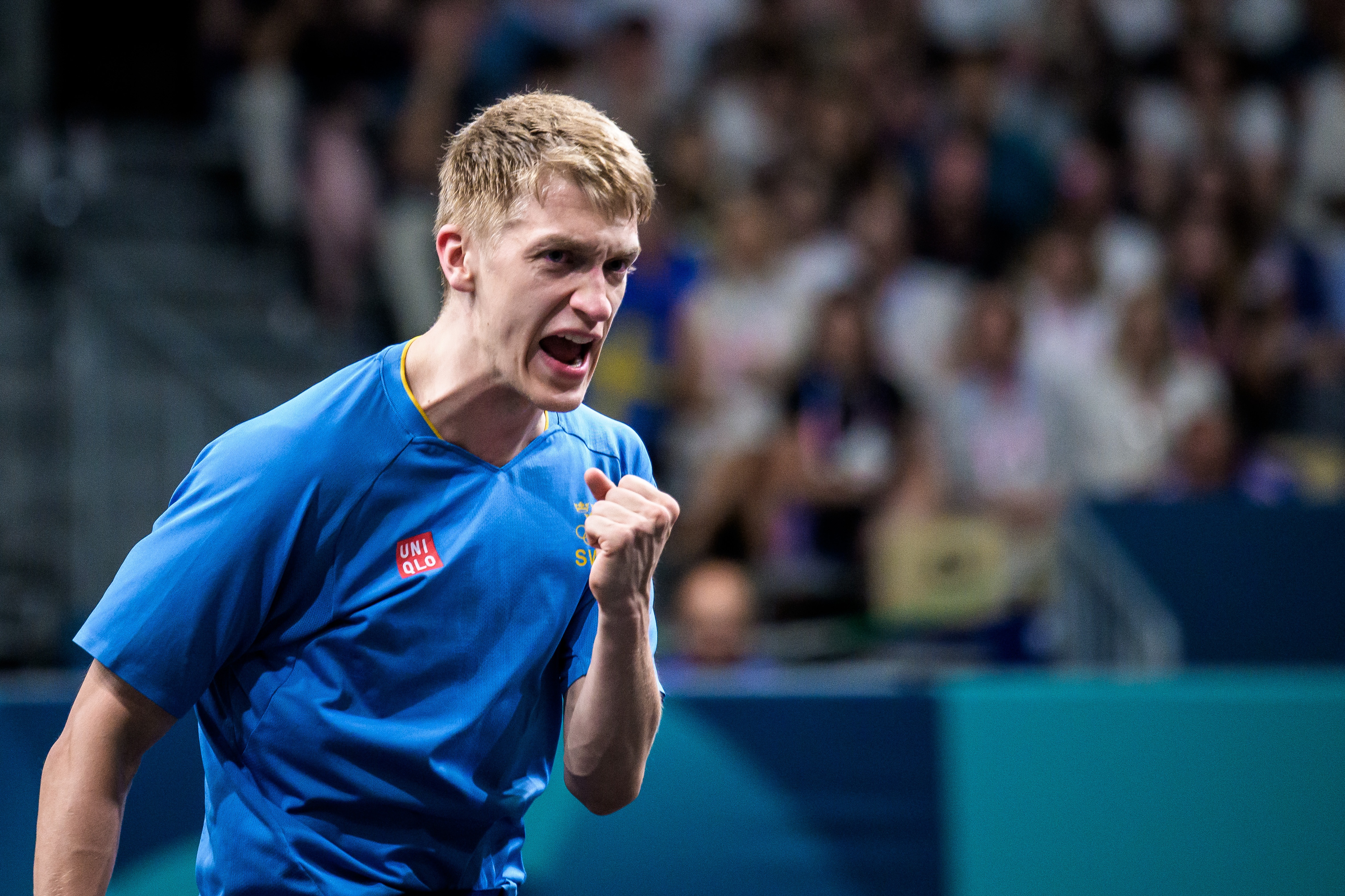 瑞典队横扫英格兰队,张本智和惊艳四座的简单介绍 瑞典队横扫英格兰队,张本智和惊艳四座的简单介绍