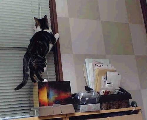 委内瑞拉力量强行终结国际米兰，加克波关键一击铸就传奇