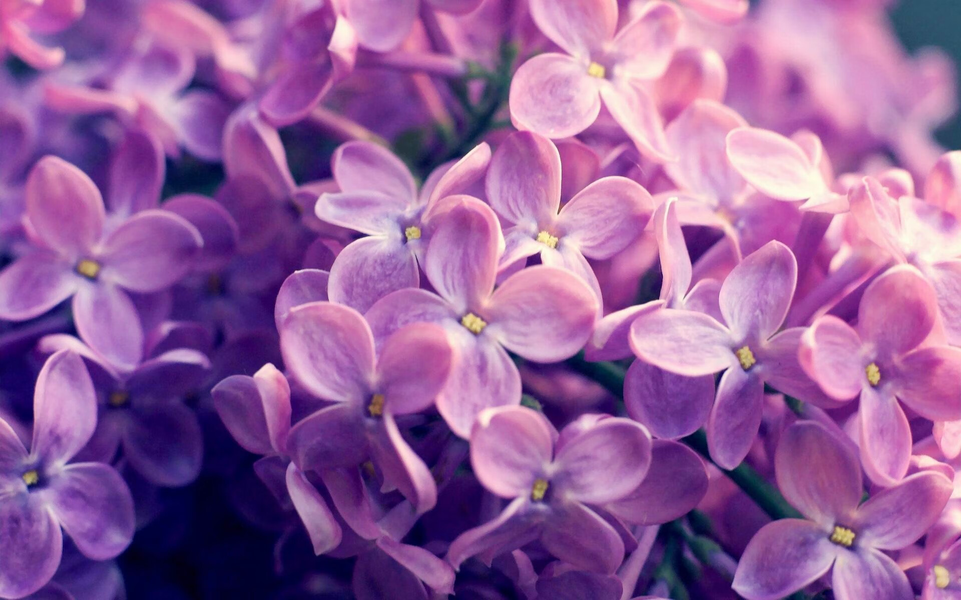 隐忍的雷鸣，当配角在命运转折点接管比赛