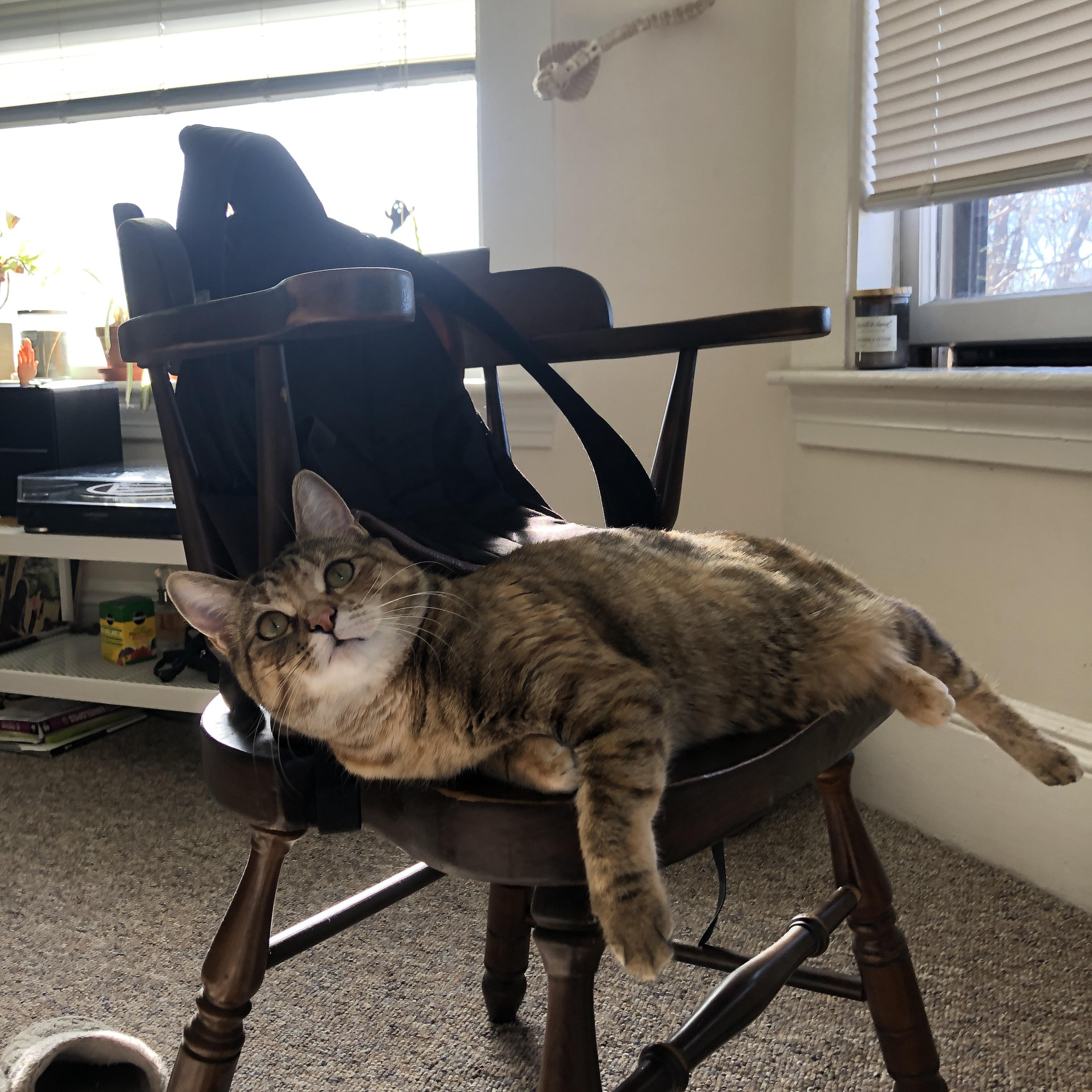 门迪爆发引领黄潜双线迸发，比利亚雷亚尔客场拿下希腊显韧性