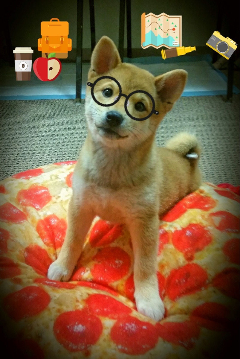 库里无解三分让比赛提前休眠，猛龙团队风暴撕碎浙江防线