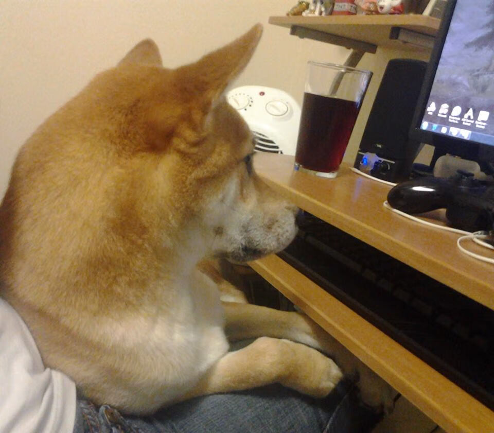 威尔士神话终章，多特蒙德铁蹄踏碎红龙最后壁垒